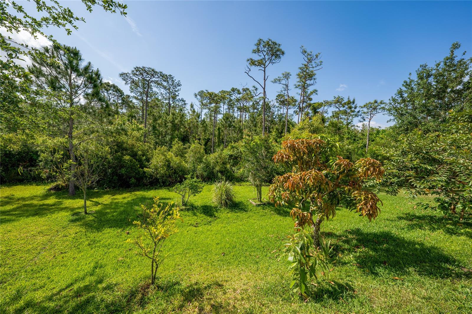 Image 41 of 43 For 3890 Prairie Reserve Boulevard
