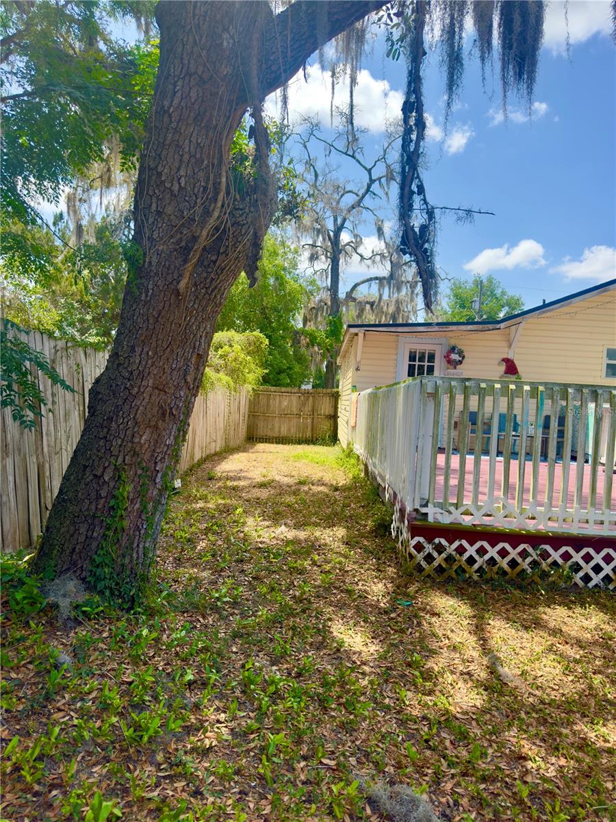 Image 34 of 37 For 455 Palmetto Avenue