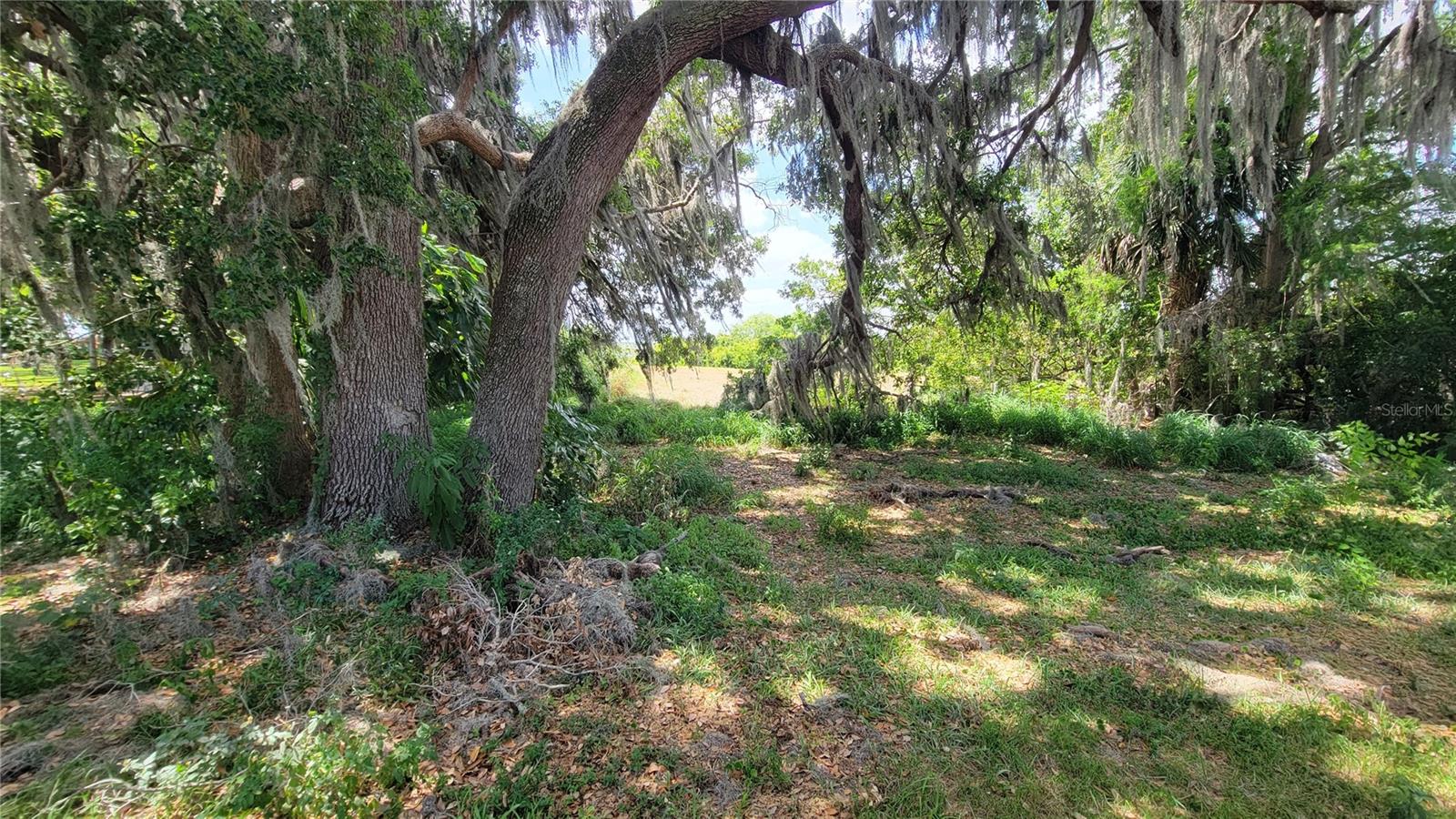 Image 16 of 29 For Neptune Road
