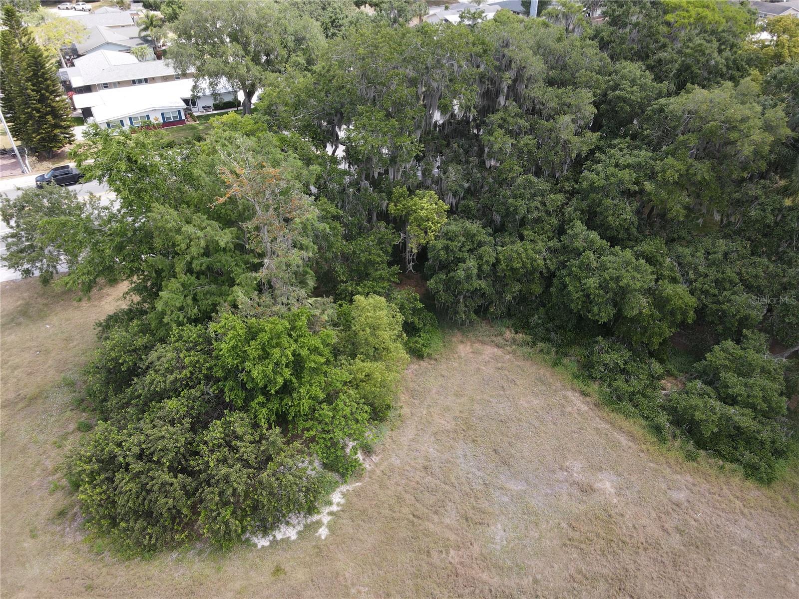 Image 18 of 29 For Neptune Road