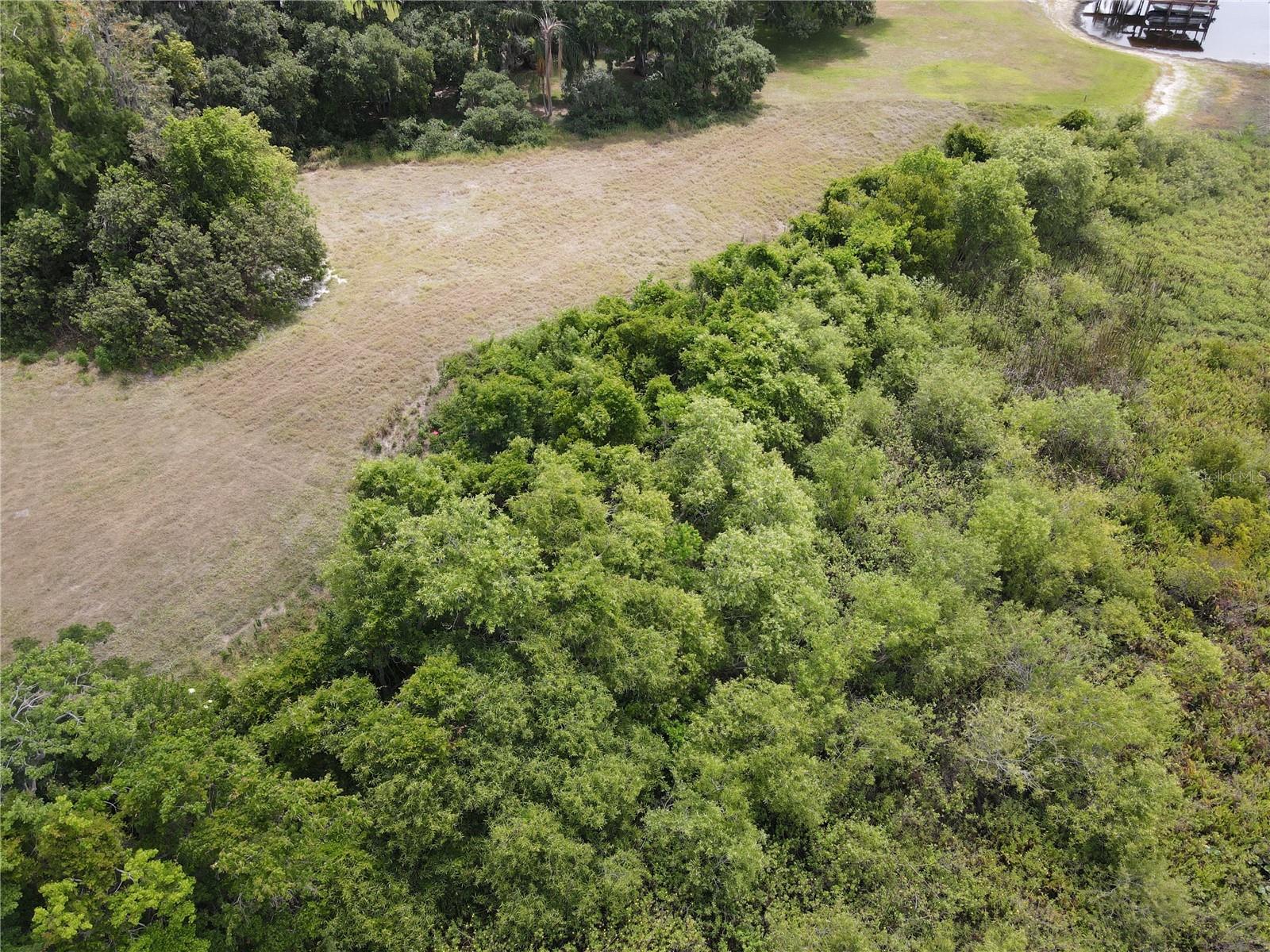 Image 19 of 29 For Neptune Road