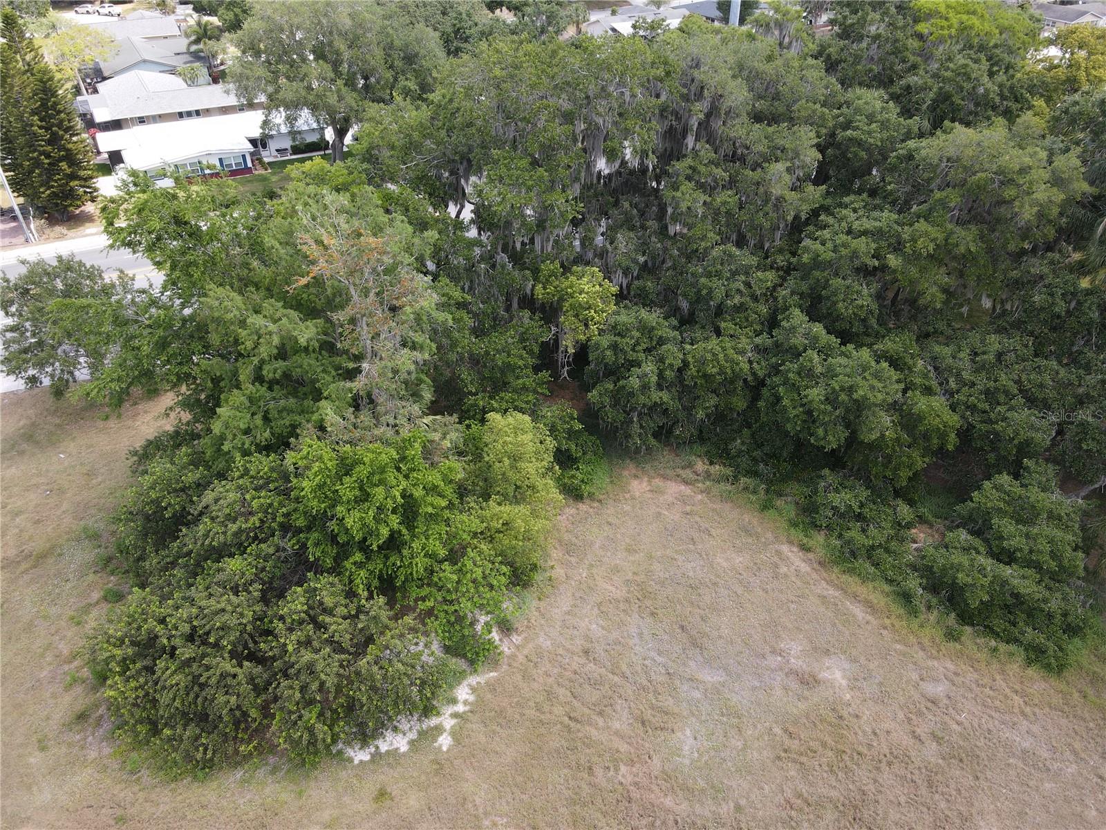 Image 21 of 29 For Neptune Road
