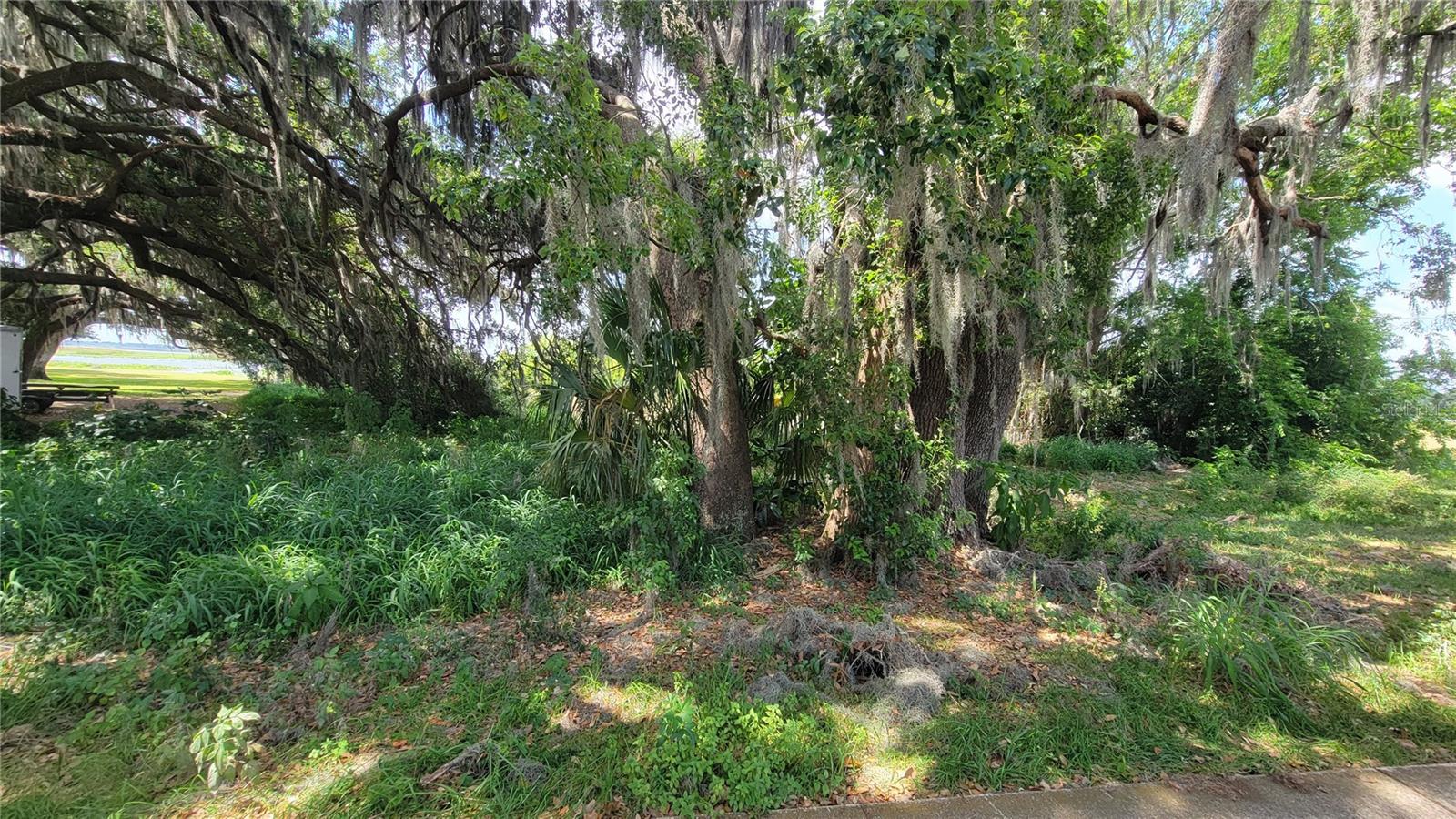 Image 6 of 29 For Neptune Road