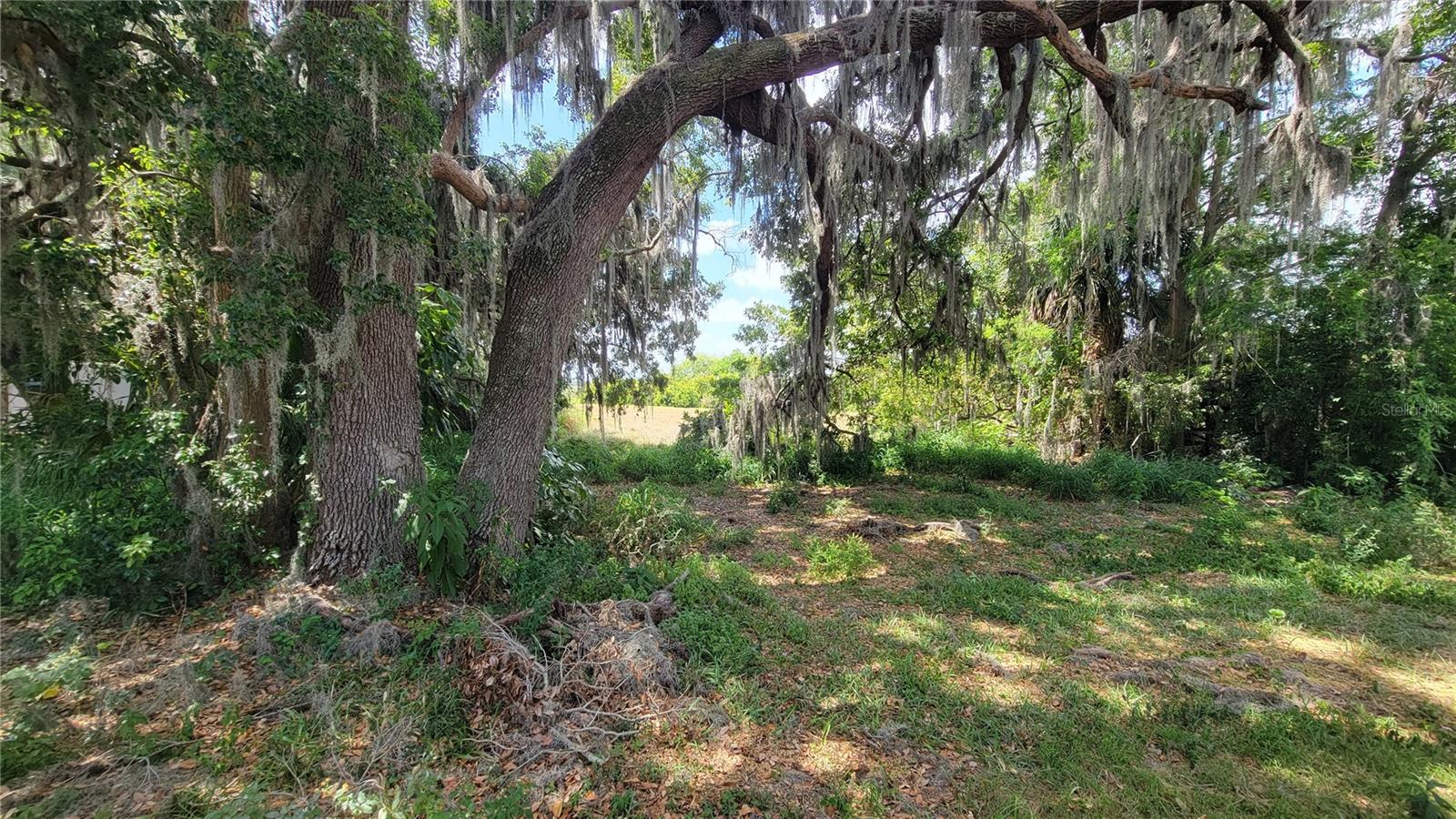 Image 8 of 29 For Neptune Road