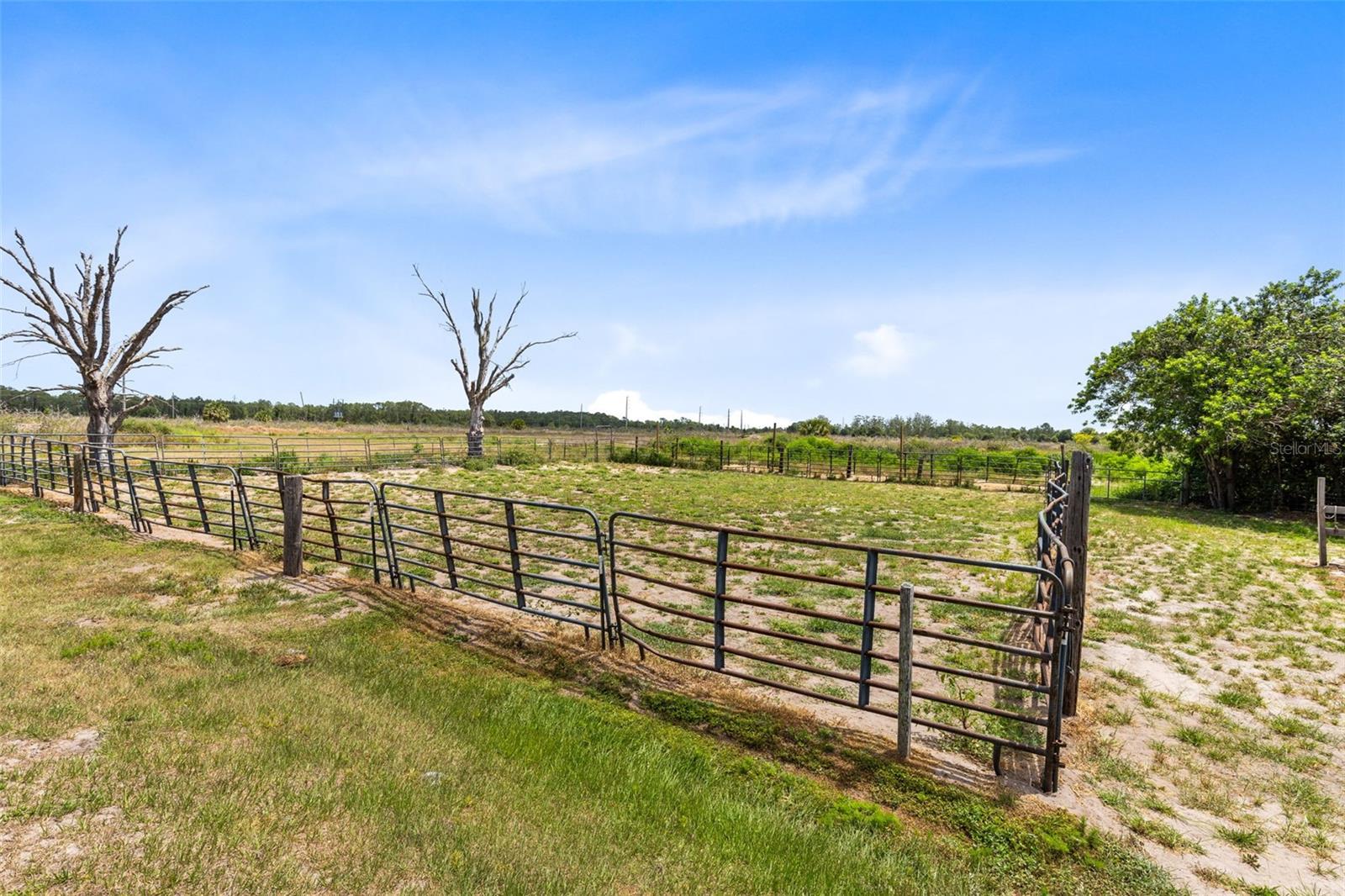 Image 22 of 32 For 6460 Hickory Tree Road