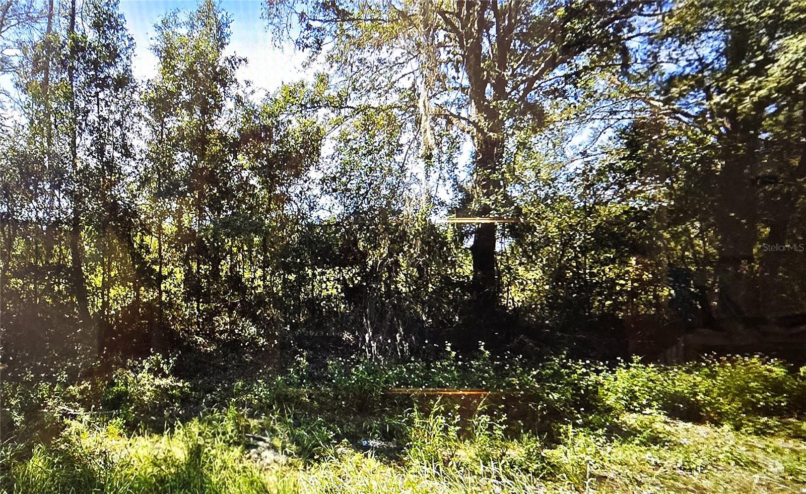 Listing Details for Off Cr 138  , BRANFORD, FL 32008