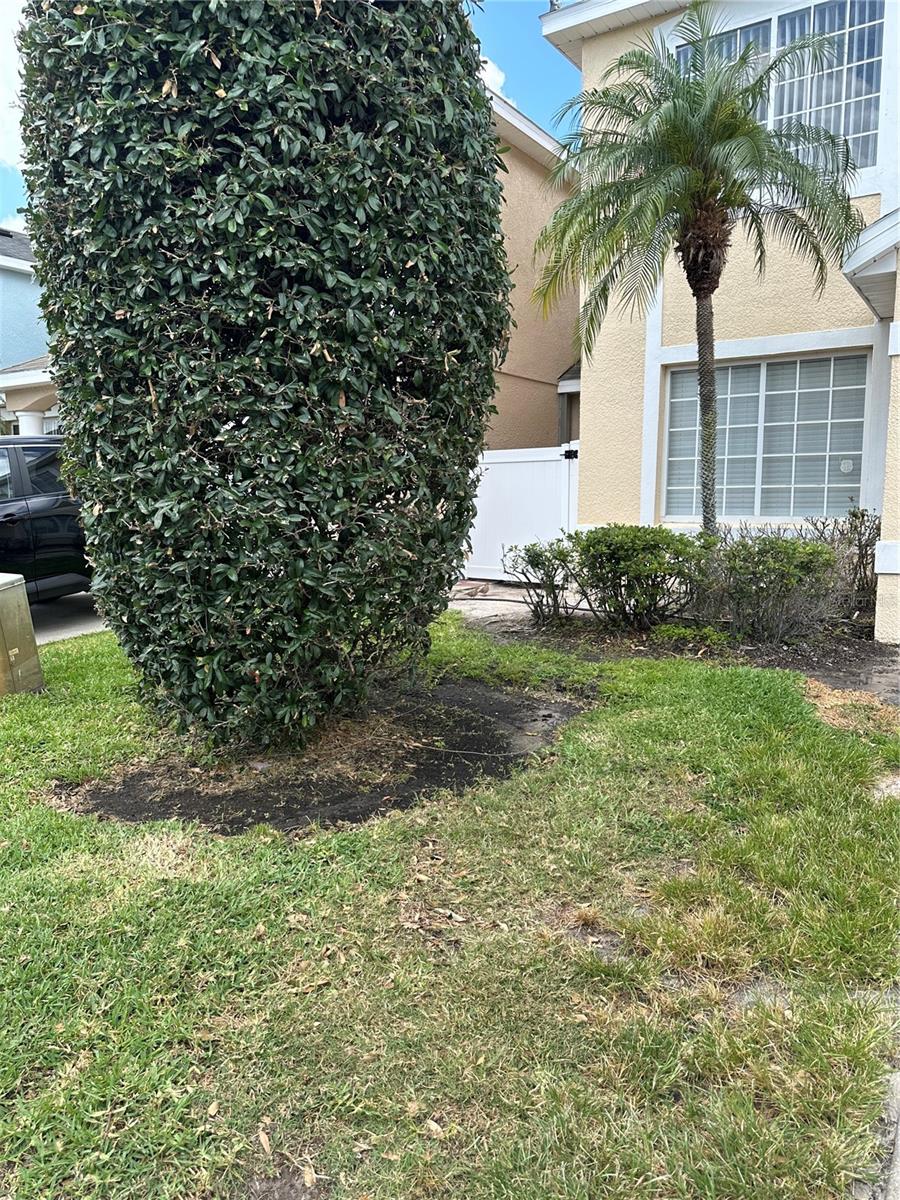 Image 2 of 17 For 14344 Sun Bay Drive