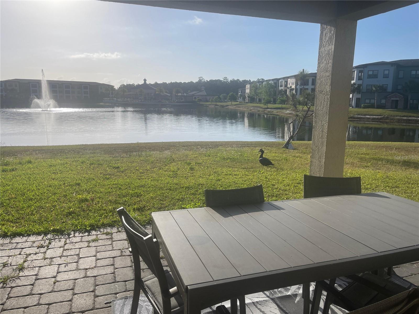 Image 20 of 23 For 5435 Estero Loop