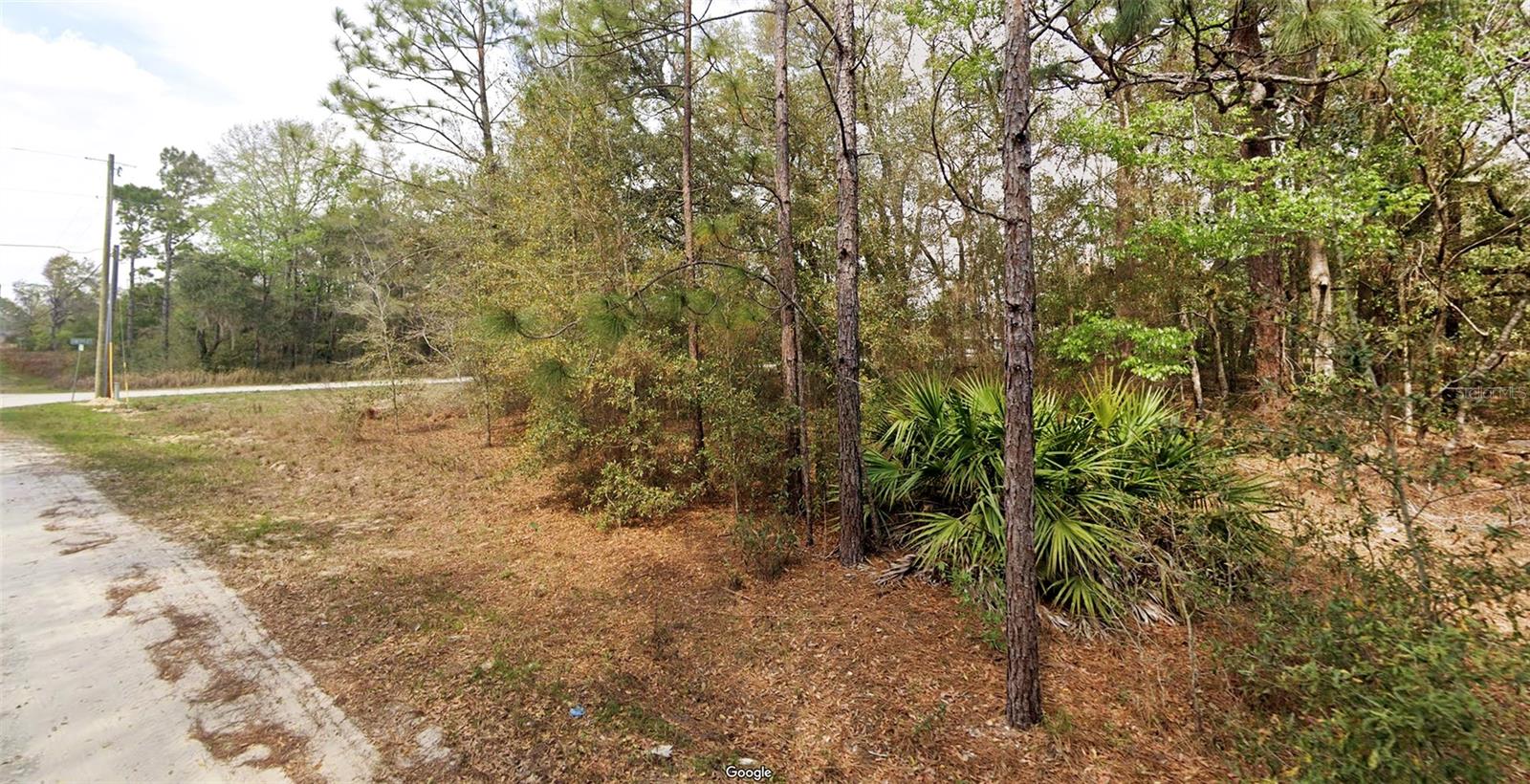 Image 2 of 12 For  Sw 146th Ct  