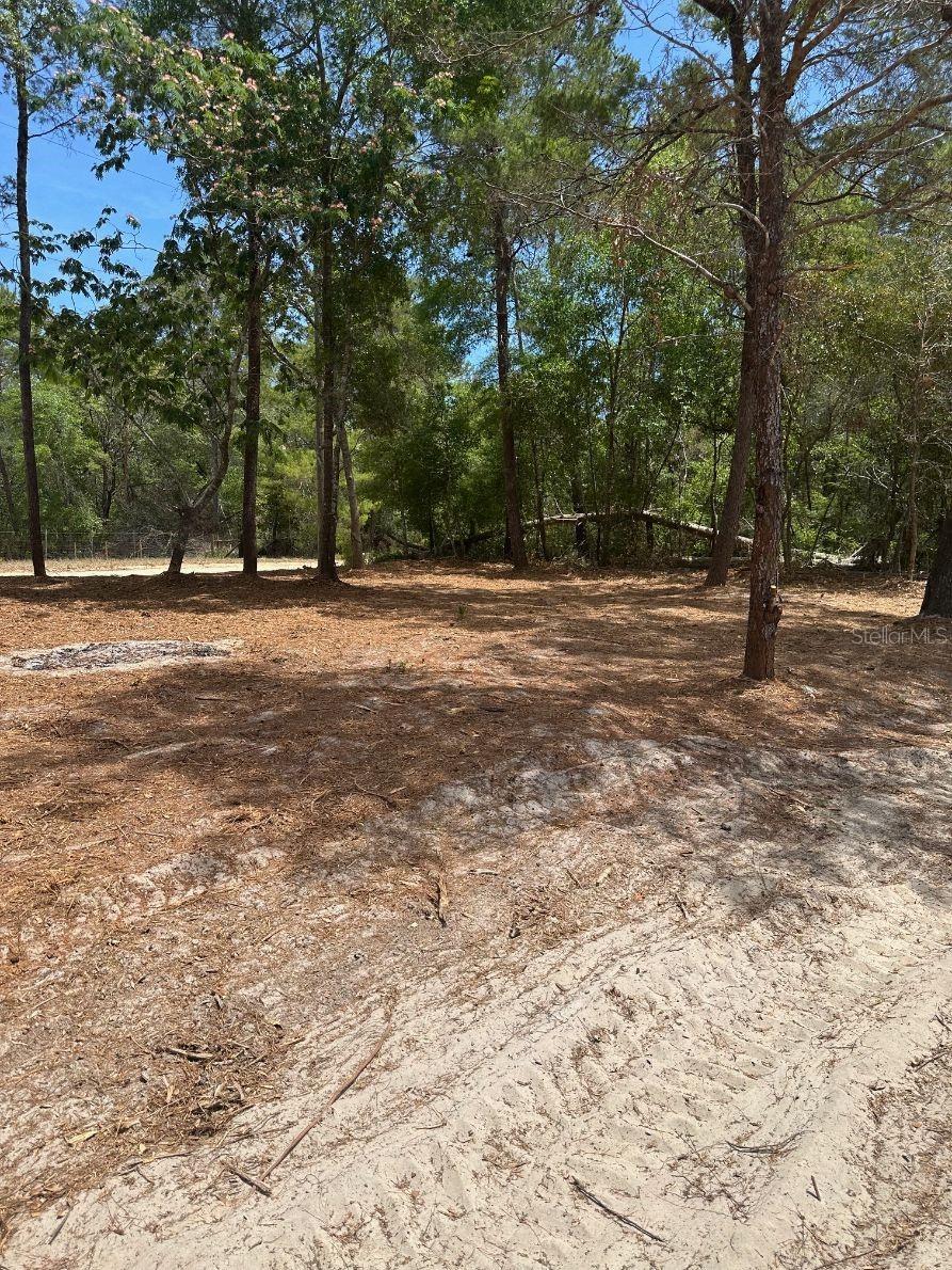 Image 13 of 39 For 155 Lake Margaret Boulevard