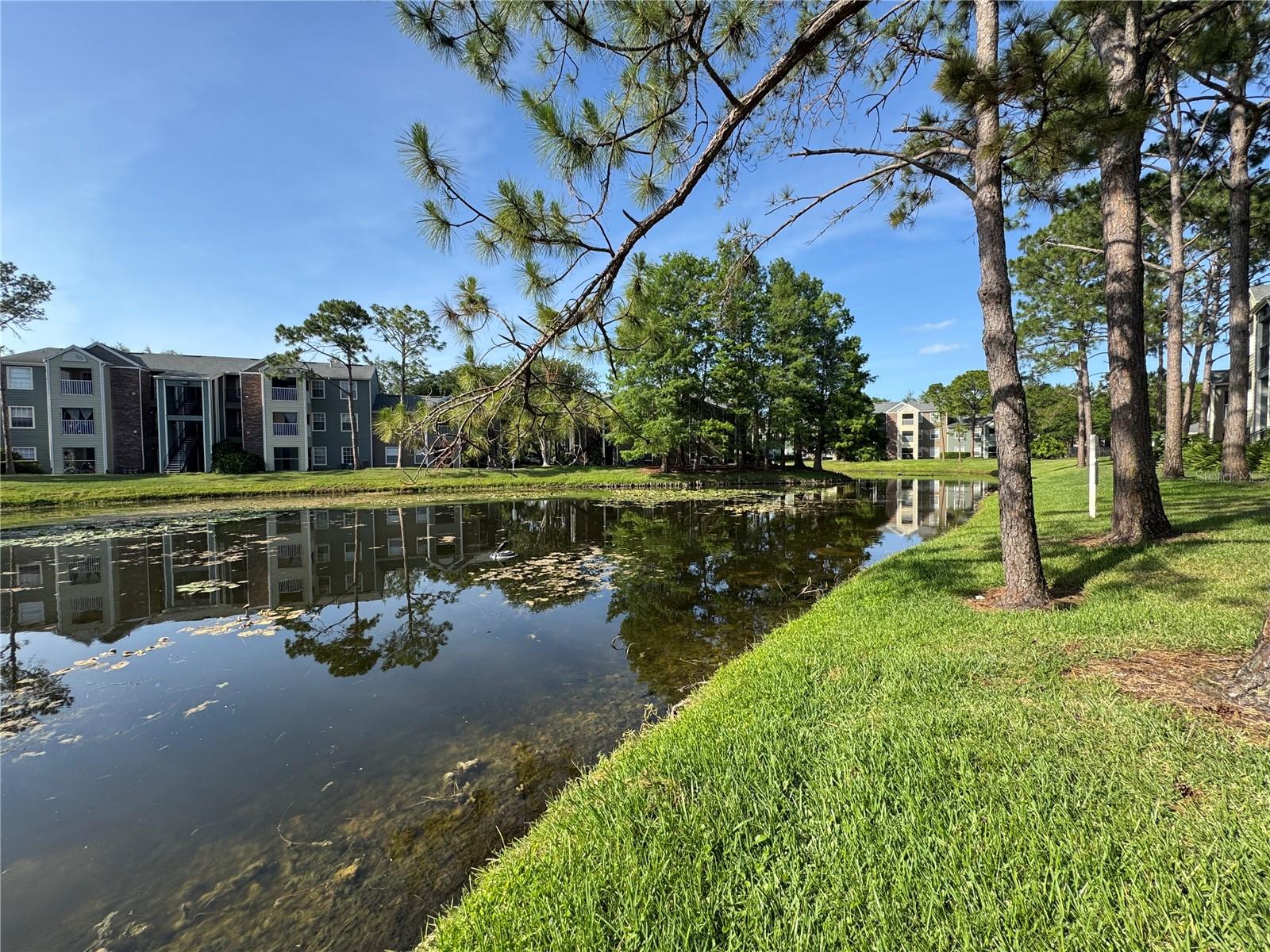 Image 12 of 15 For 2213 Metropolitan Way 1318