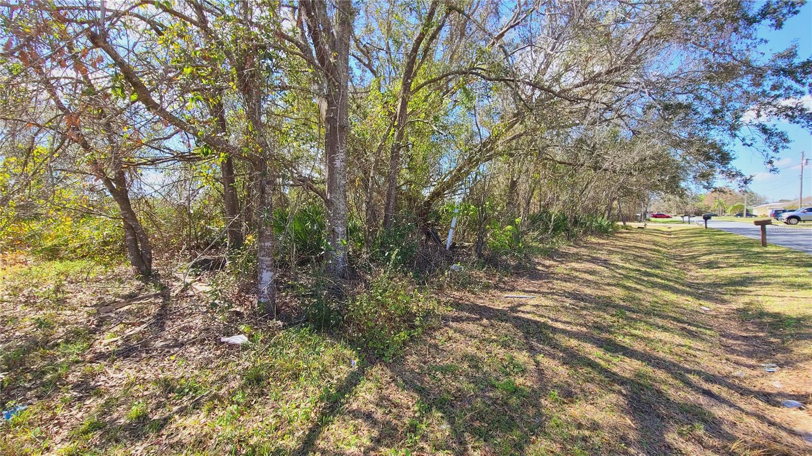 Details for 716 Martin Lane, KISSIMMEE, FL 34759