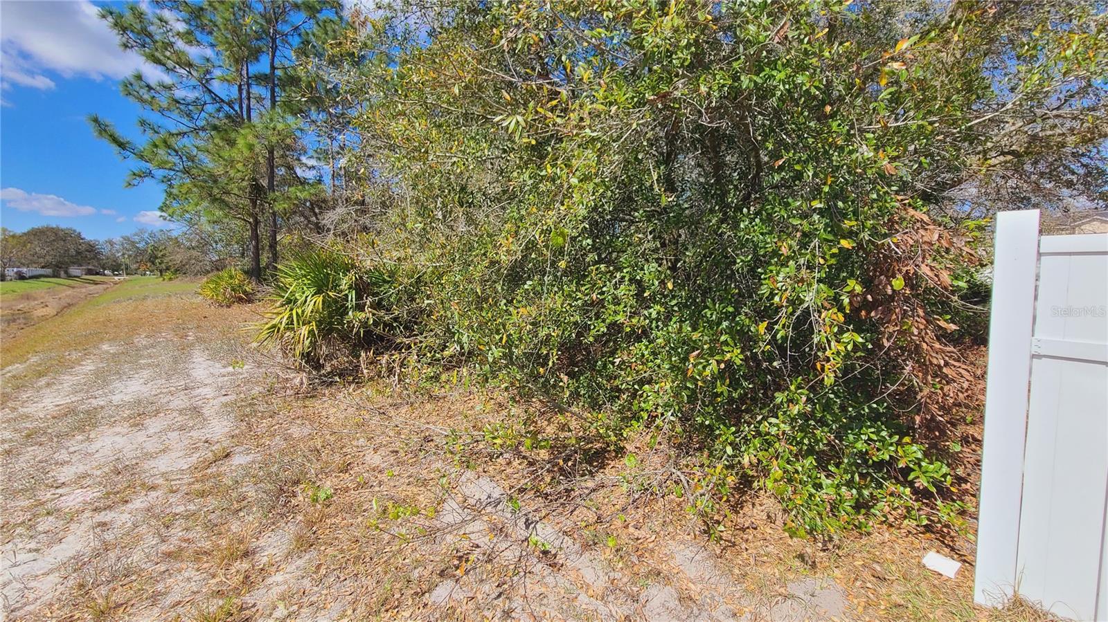 Image 4 of 6 For 716 Martin Lane