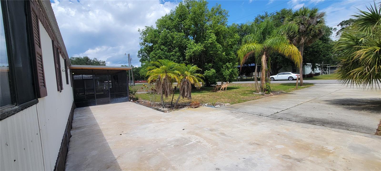 Image 6 of 34 For 100 Pine Drive