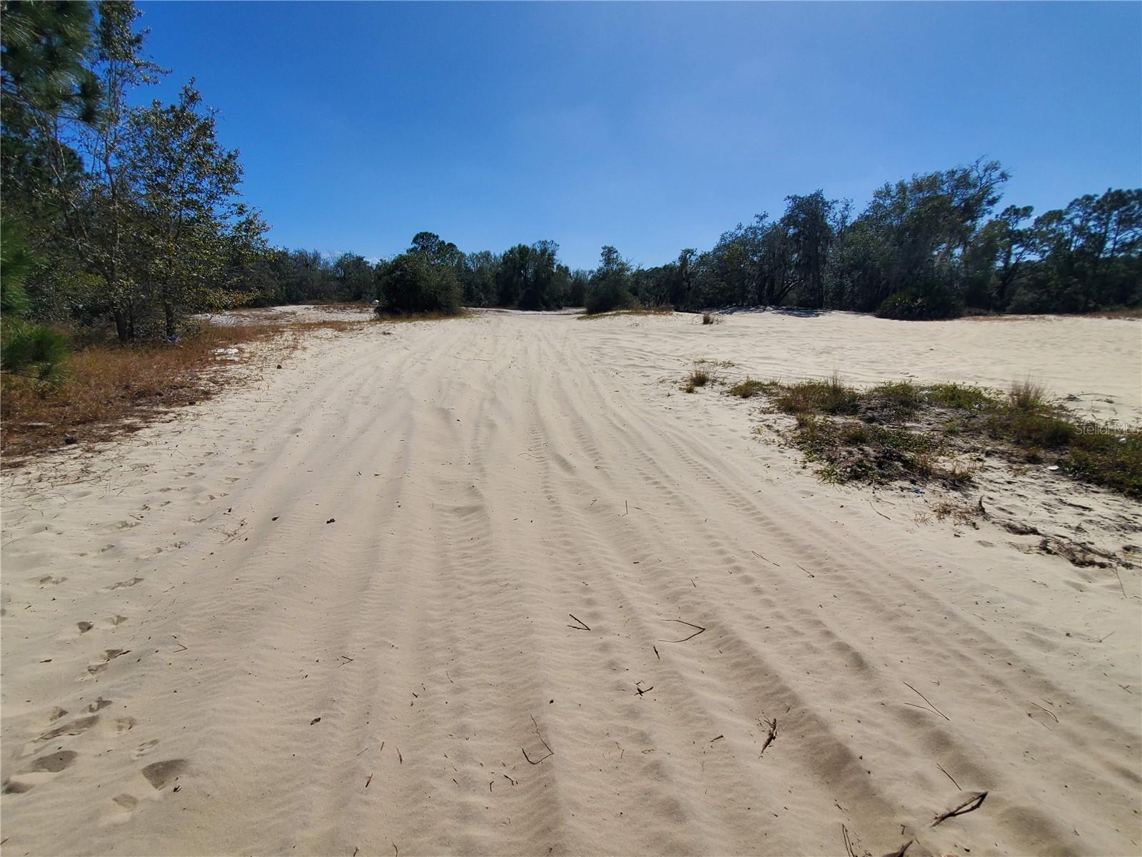 Image 6 of 23 For  Trout Way 