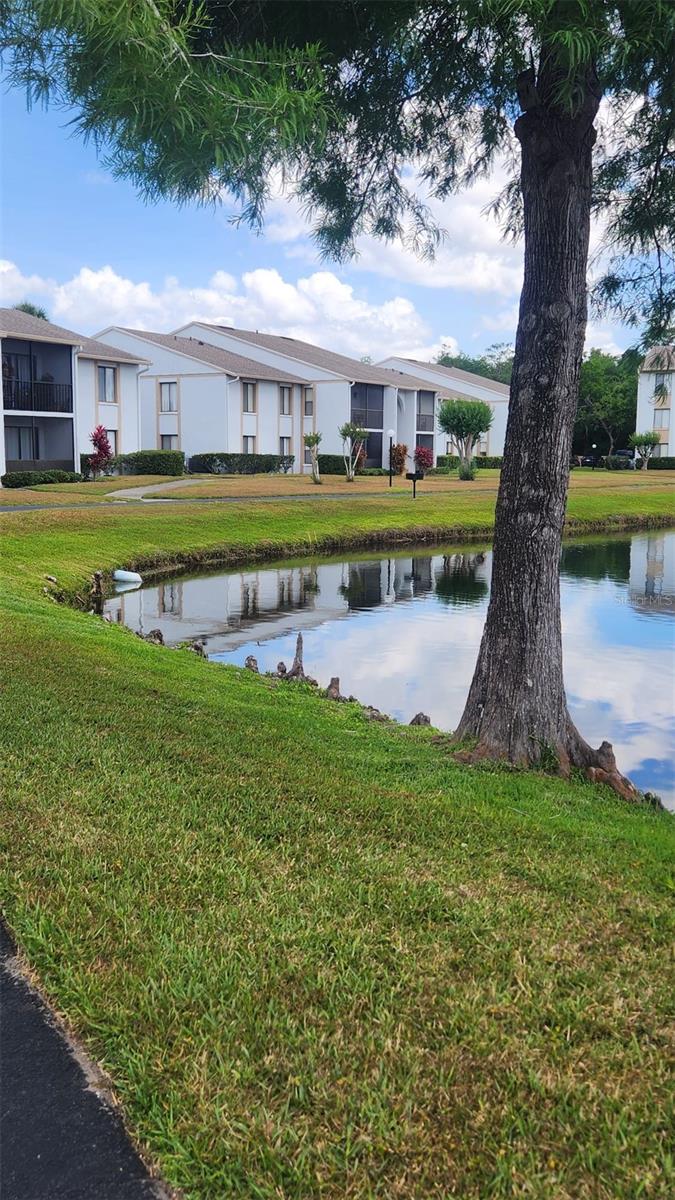 Image 24 of 29 For 8217 Sun Spring Circle C