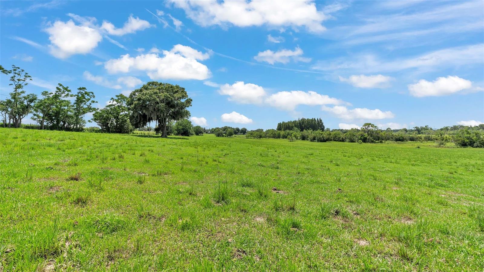 Image 5 of 8 For 8450 Alturas Babson Park Cutoff Road