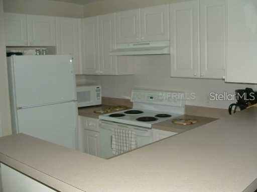 Image 15 of 15 For 235 Goldenrain Drive 303
