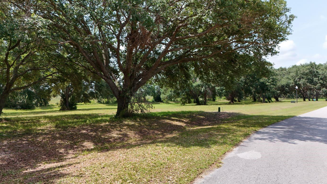 Image 15 of 26 For Royal Palm Drive Lot 34