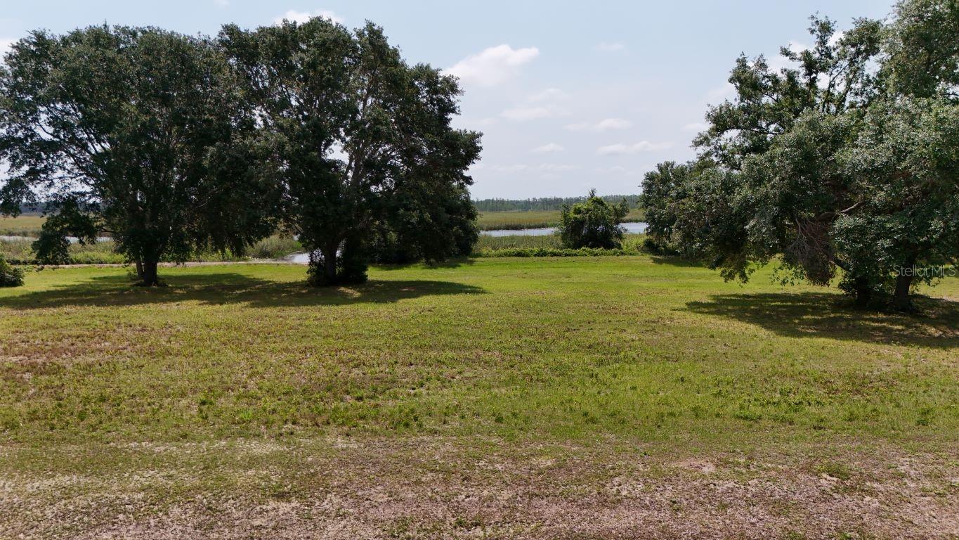 Image 16 of 26 For Royal Palm Drive Lot 34