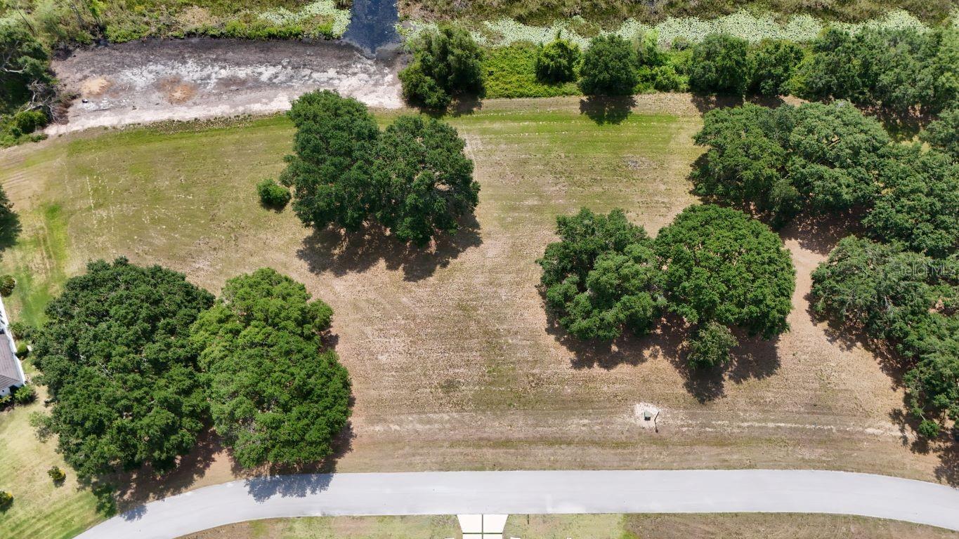Image 7 of 26 For Royal Palm Drive Lot 34
