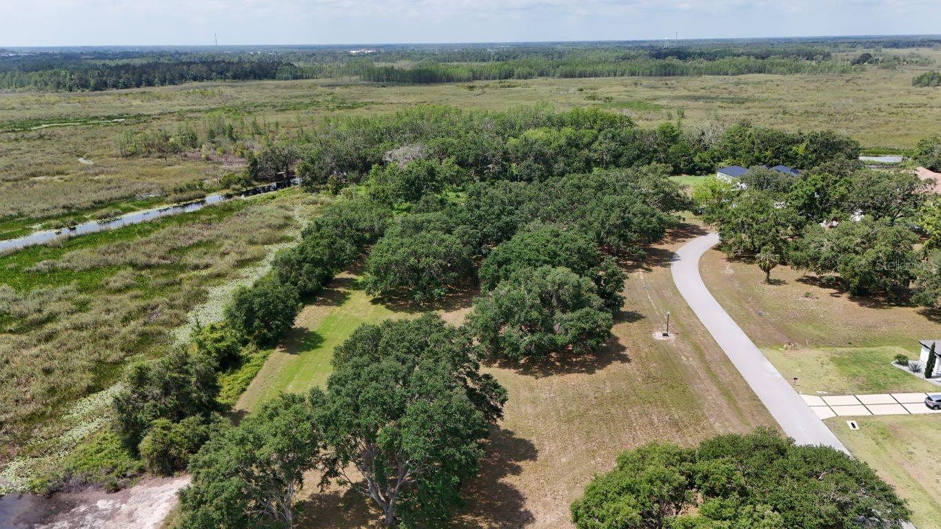 Image 8 of 26 For Royal Palm Drive Lot 34