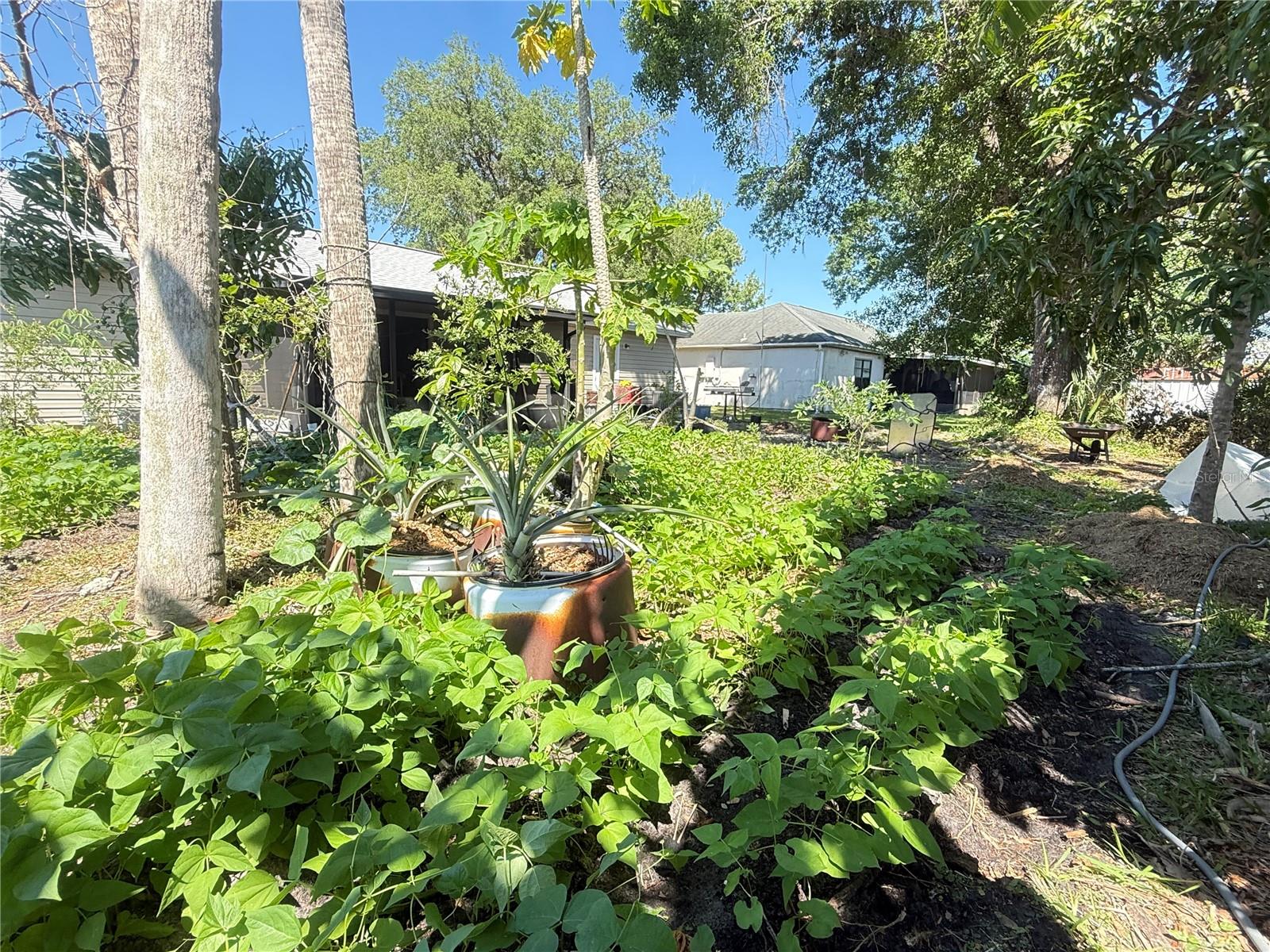 Image 19 of 22 For 622 Dromedary Court