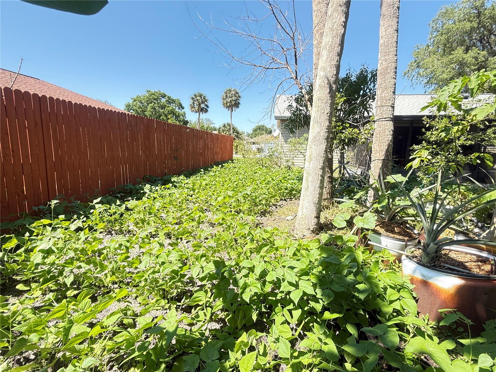 Image 21 of 22 For 622 Dromedary Court