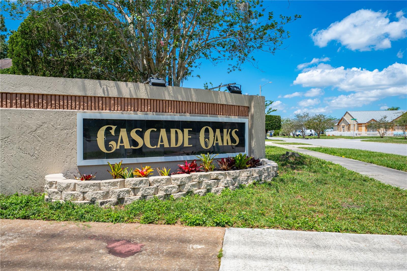 Image 48 of 49 For 8322 Cascade Oaks Drive