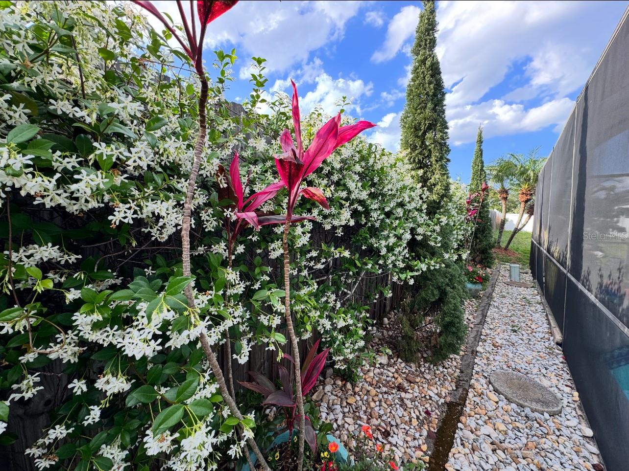 Image 3 of 52 For 12445 Bohannon Boulevard