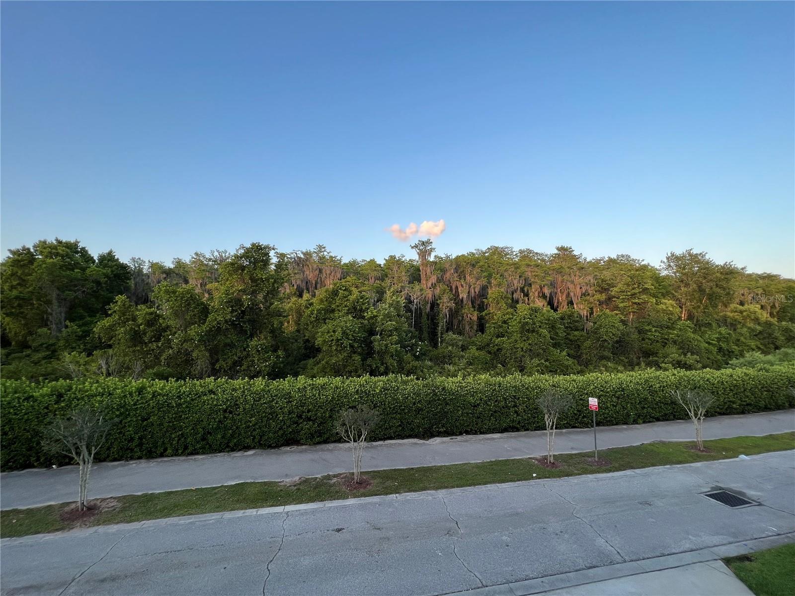 Image 12 of 17 For 10734 Dawson Lily Way S