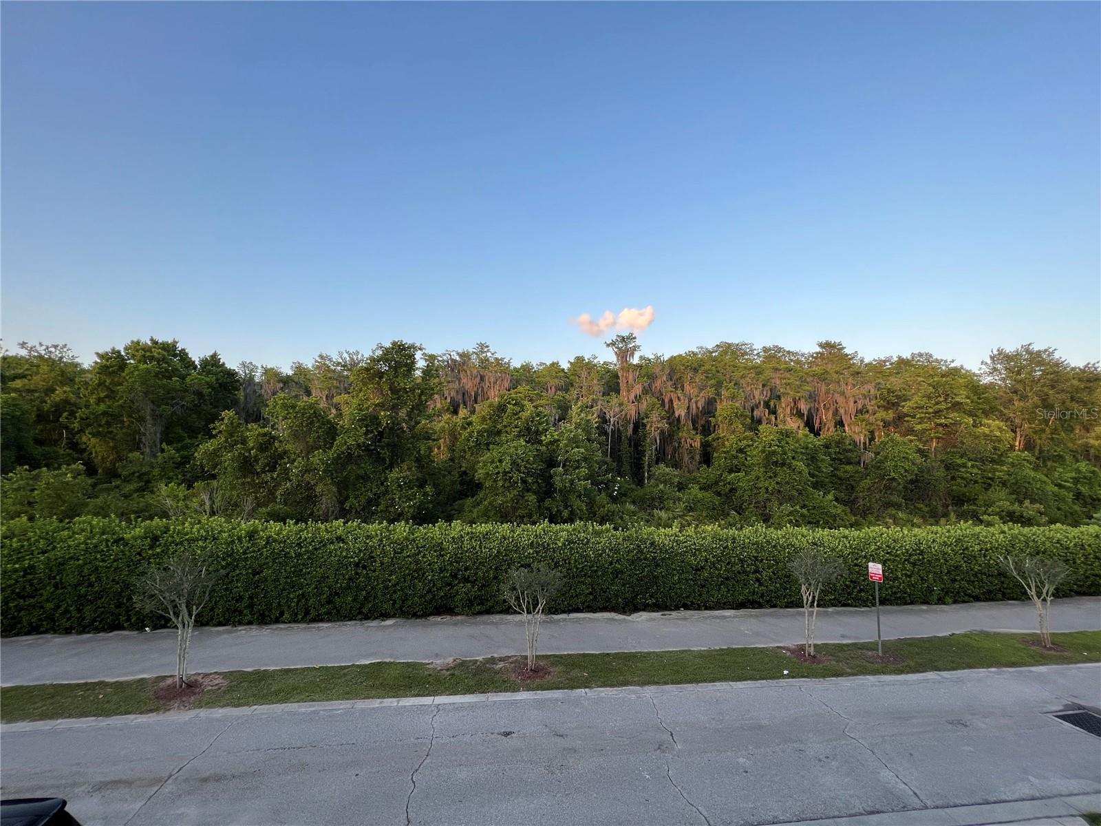 Image 13 of 17 For 10734 Dawson Lily Way S