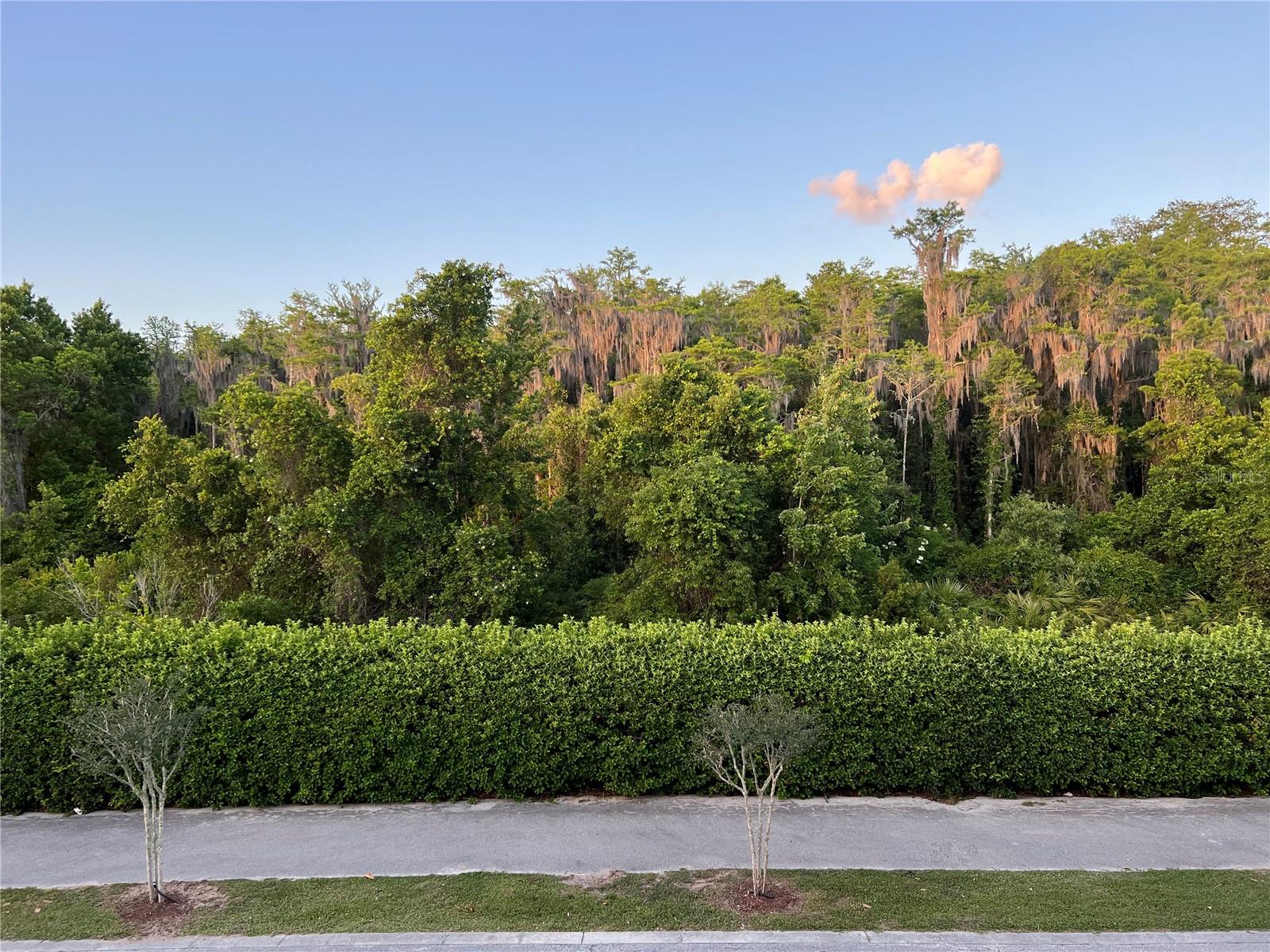 Image 14 of 17 For 10734 Dawson Lily Way S