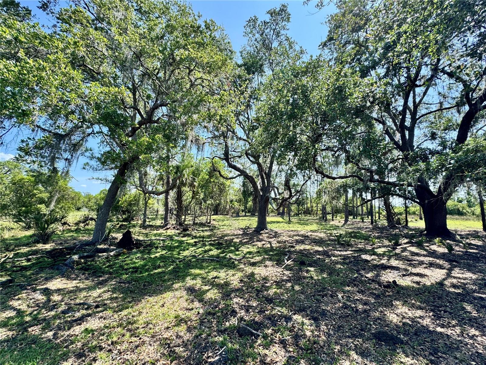 Image 100 of 100 For 2350 Bradbury Road