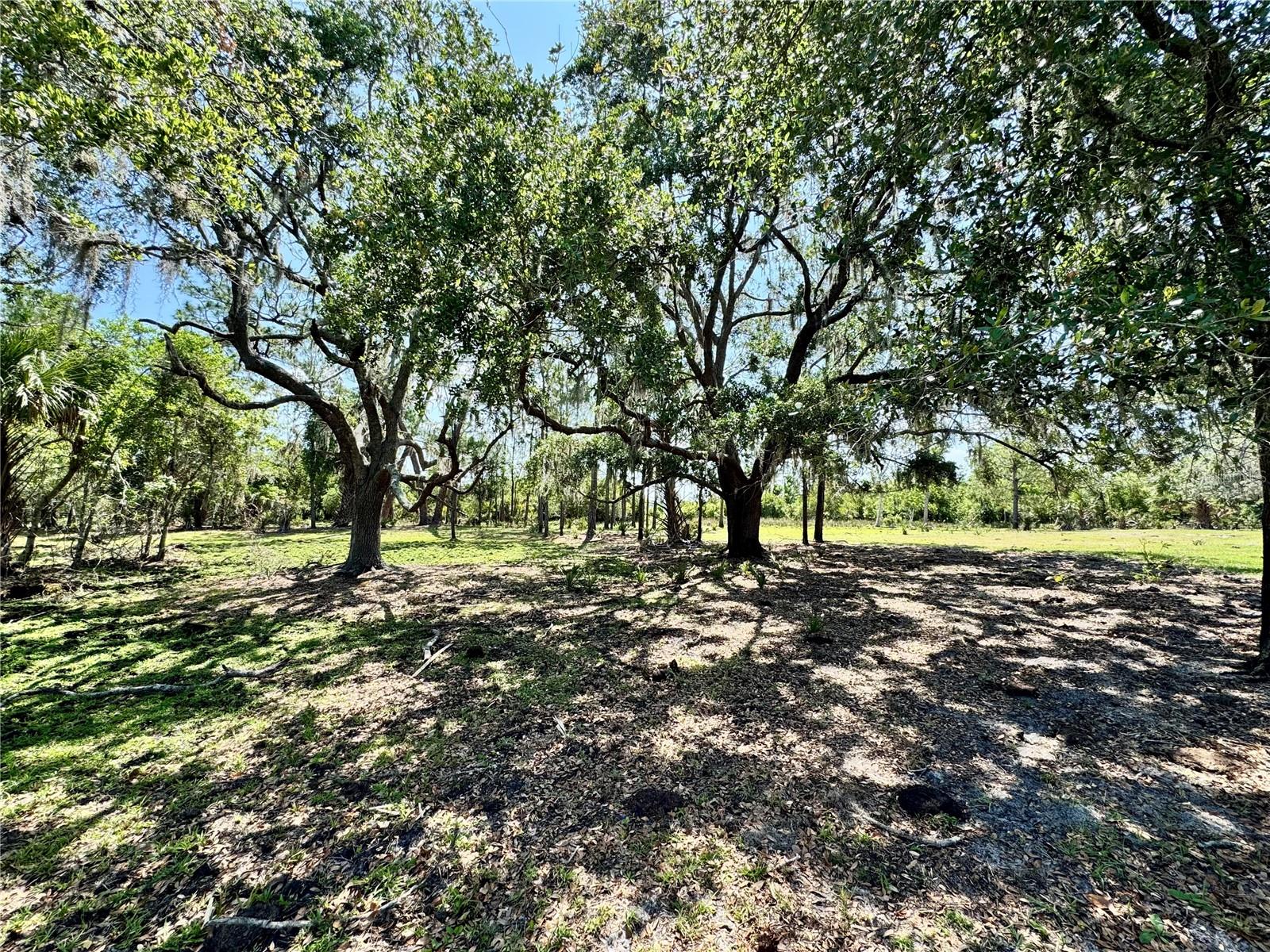 Image 99 of 100 For 2350 Bradbury Road