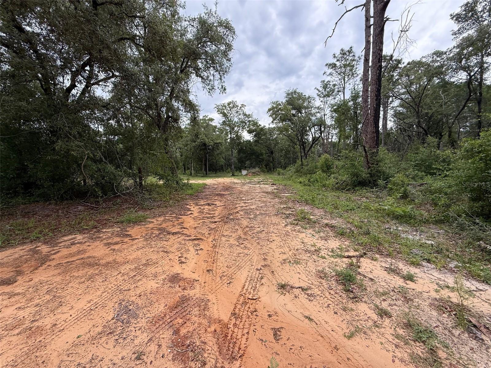 Details for 10155 158th Lane, DUNNELLON, FL 34432