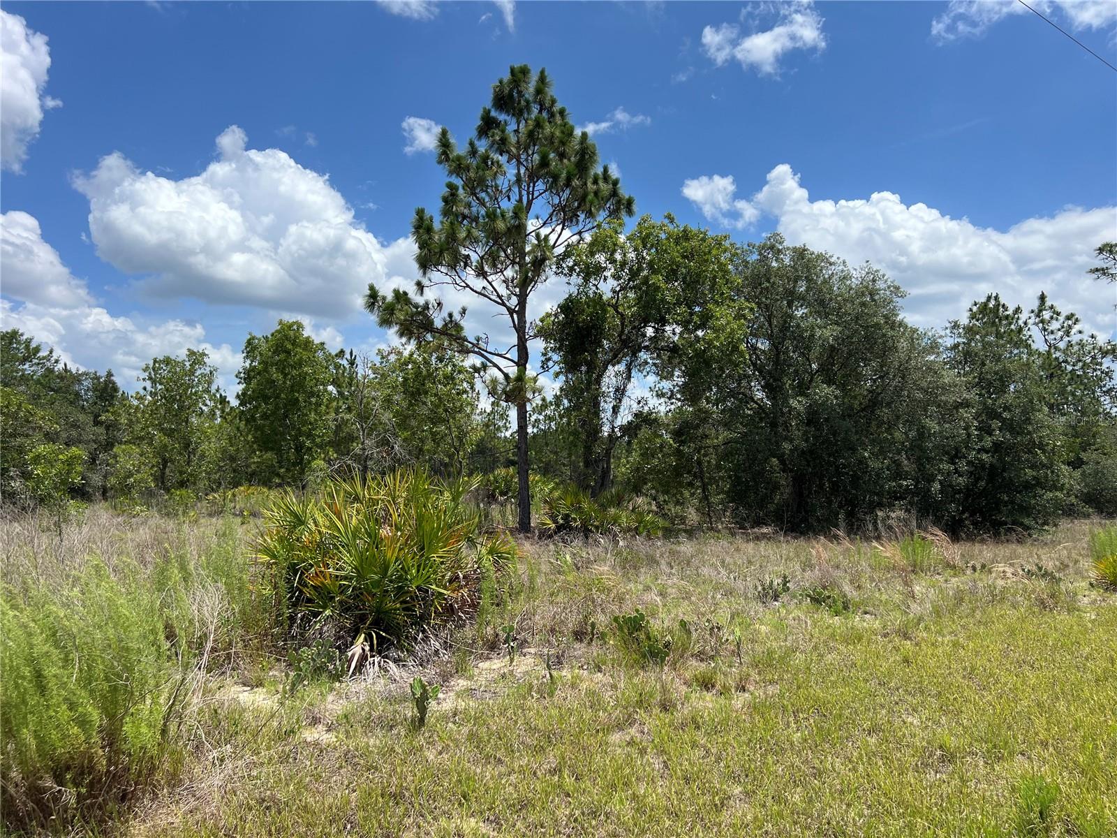 Image 3 of 10 For 3309 Hampshire Boulevard