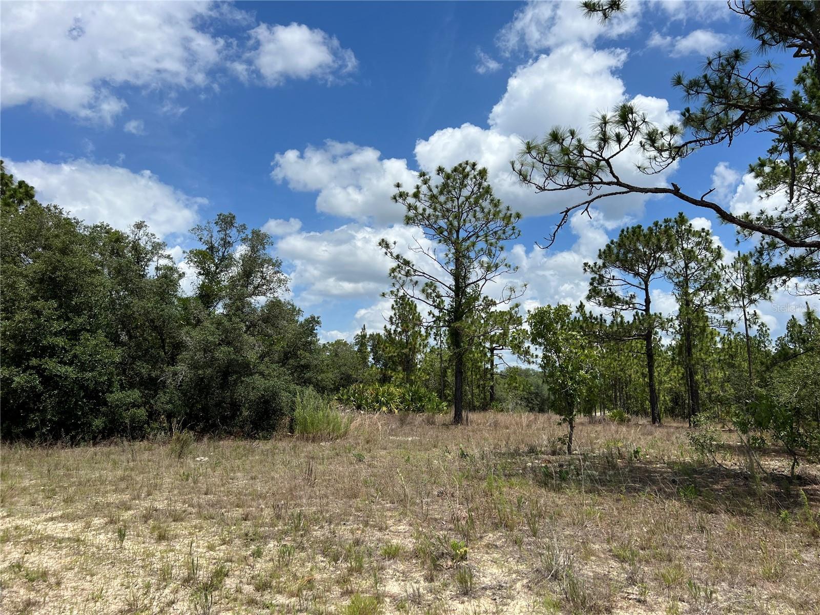 Image 4 of 10 For 3309 Hampshire Boulevard