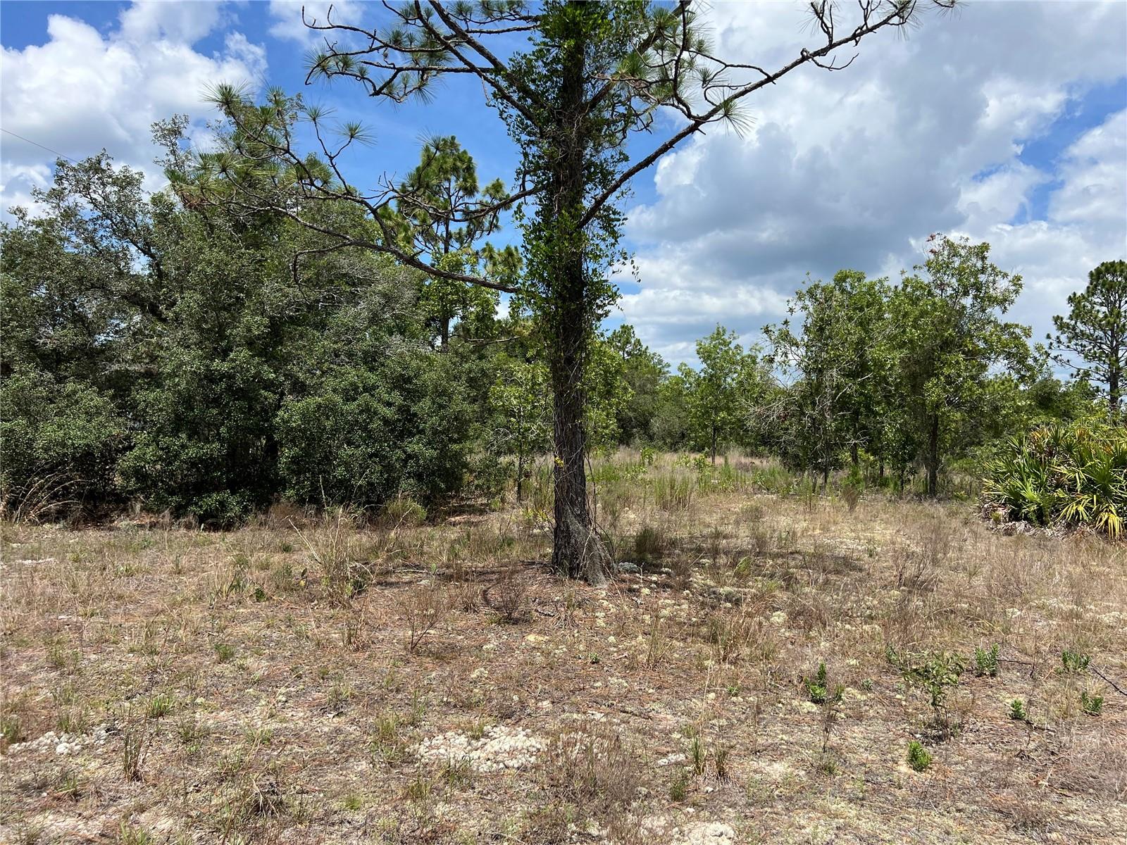 Image 6 of 10 For 3309 Hampshire Boulevard