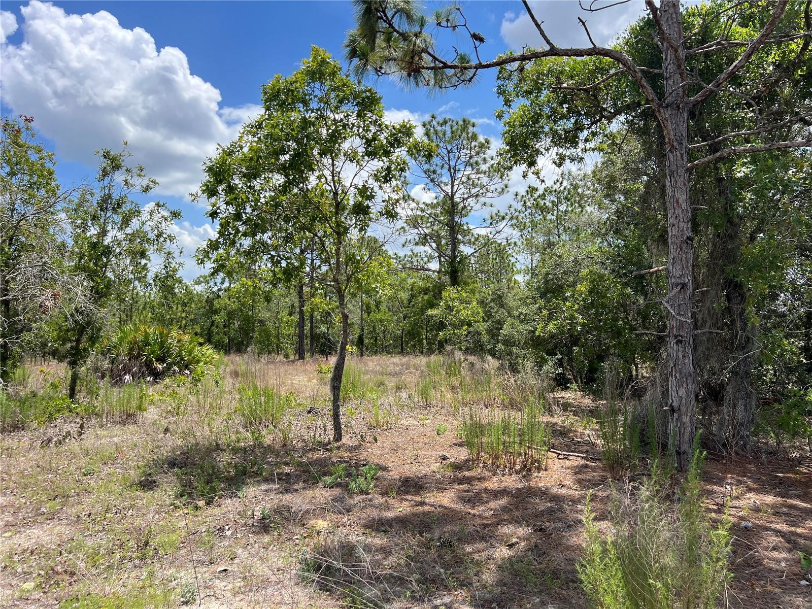 Image 7 of 10 For 3309 Hampshire Boulevard
