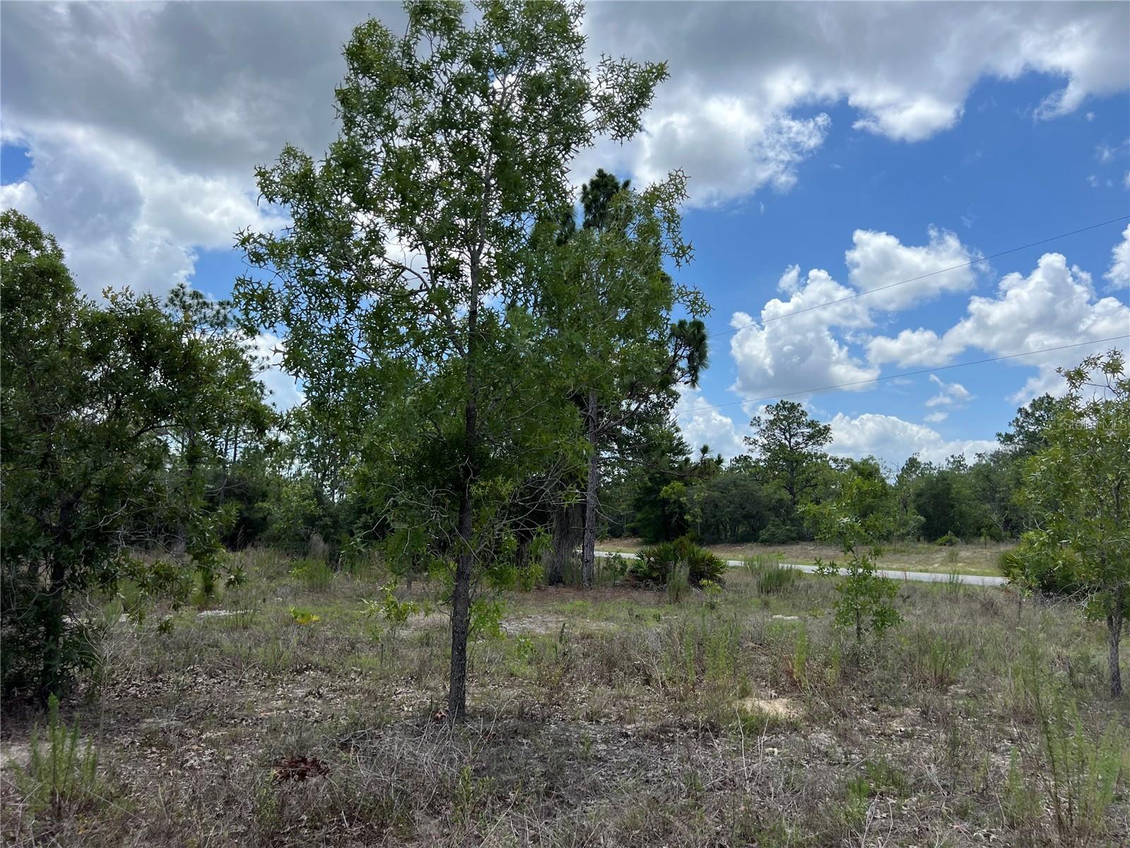 Image 8 of 10 For 3309 Hampshire Boulevard