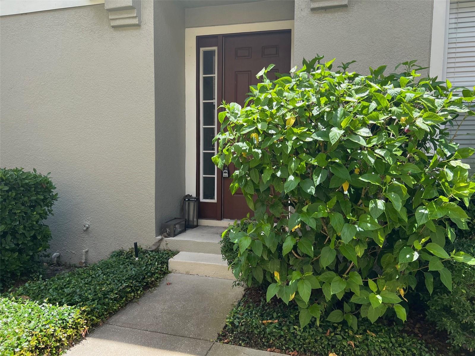 Listing Details for 10238 Cala Lily Trail S, ORLANDO, FL 32832