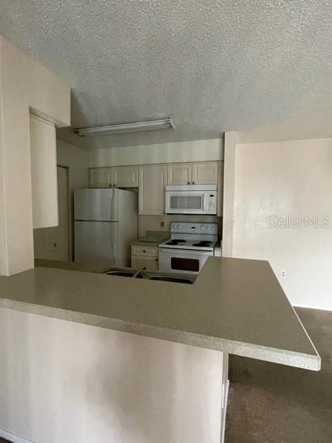 Image 4 of 11 For 1221 Bermuda Lakes Lane 202