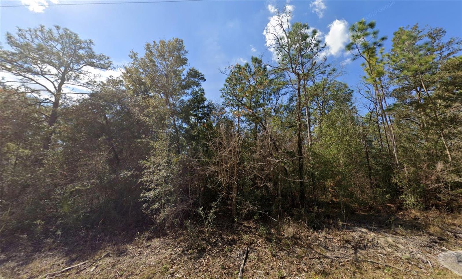 Details for 0 Canyon Swallow Road Lot 5, BROOKSVILLE, FL 34614