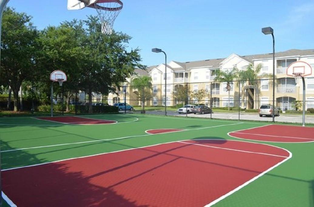 Image 14 of 44 For 8121 Fan Palm Way