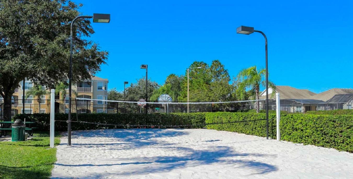 Image 17 of 44 For 8121 Fan Palm Way