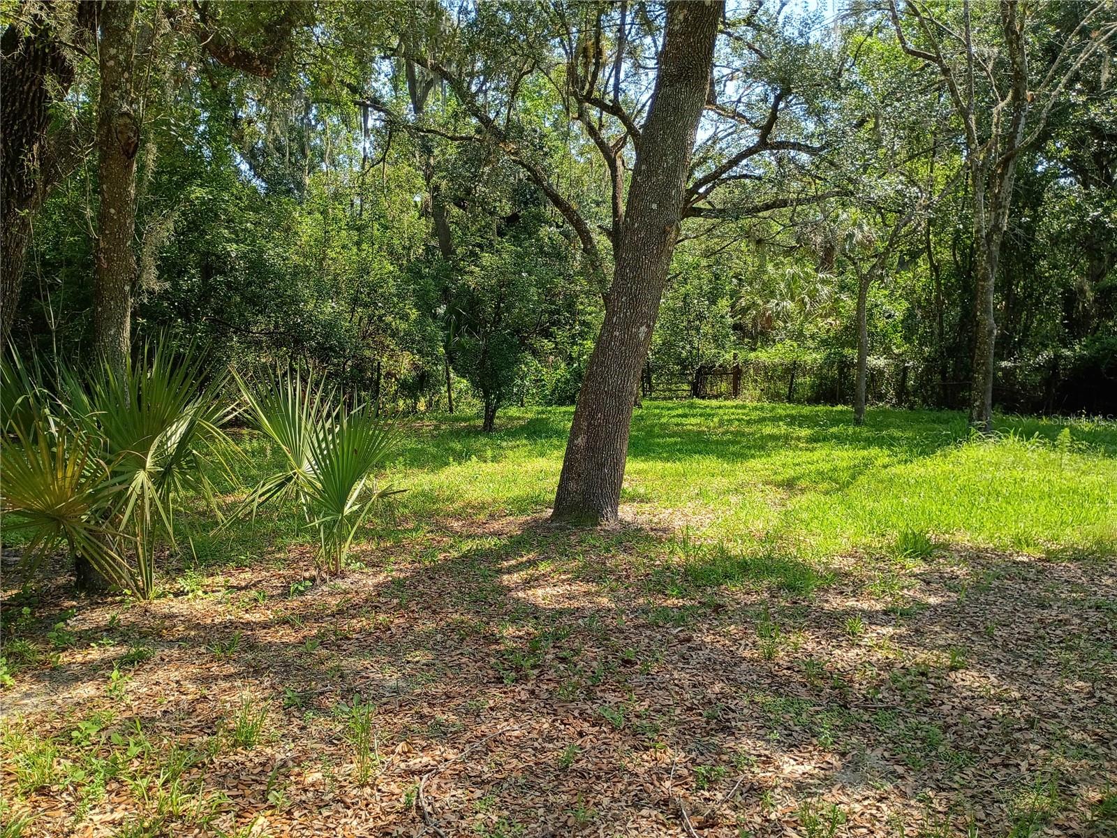 Image 5 of 7 For 1441 Tallahassee Boulevard