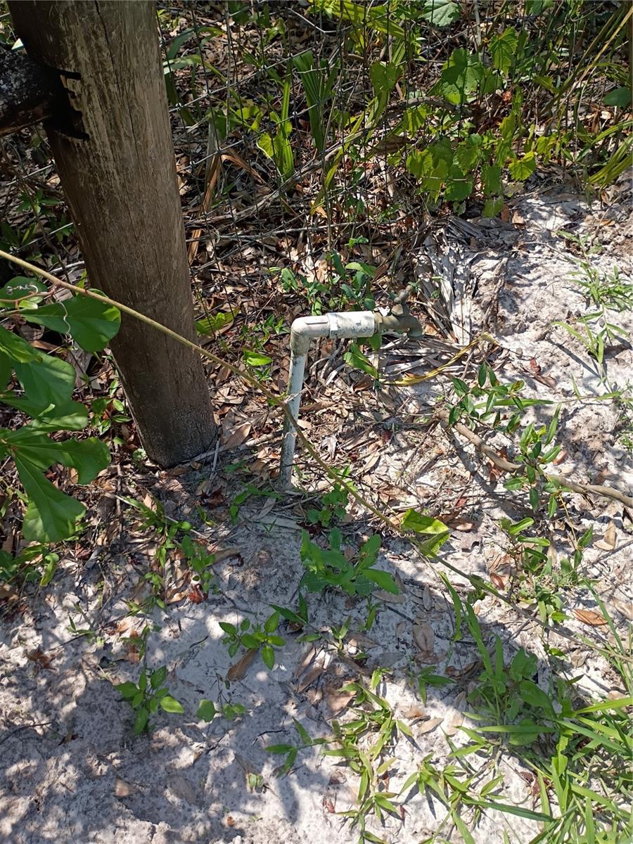 Image 6 of 7 For 1441 Tallahassee Boulevard
