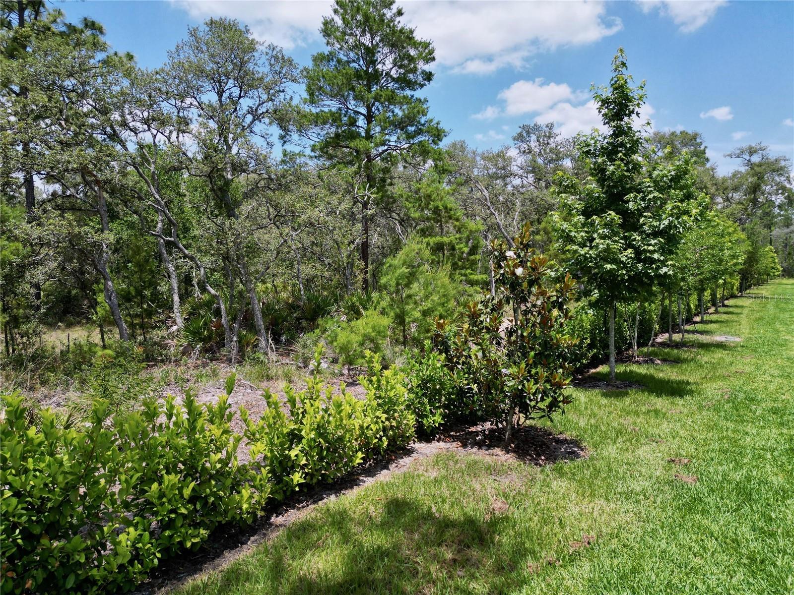 Image 73 of 88 For 1425 Serendipity Lane