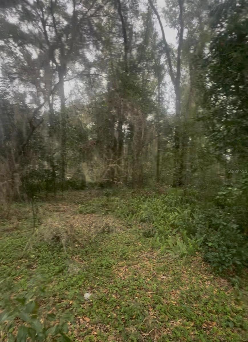 Image 4 of 5 For 17441 16th Terrace